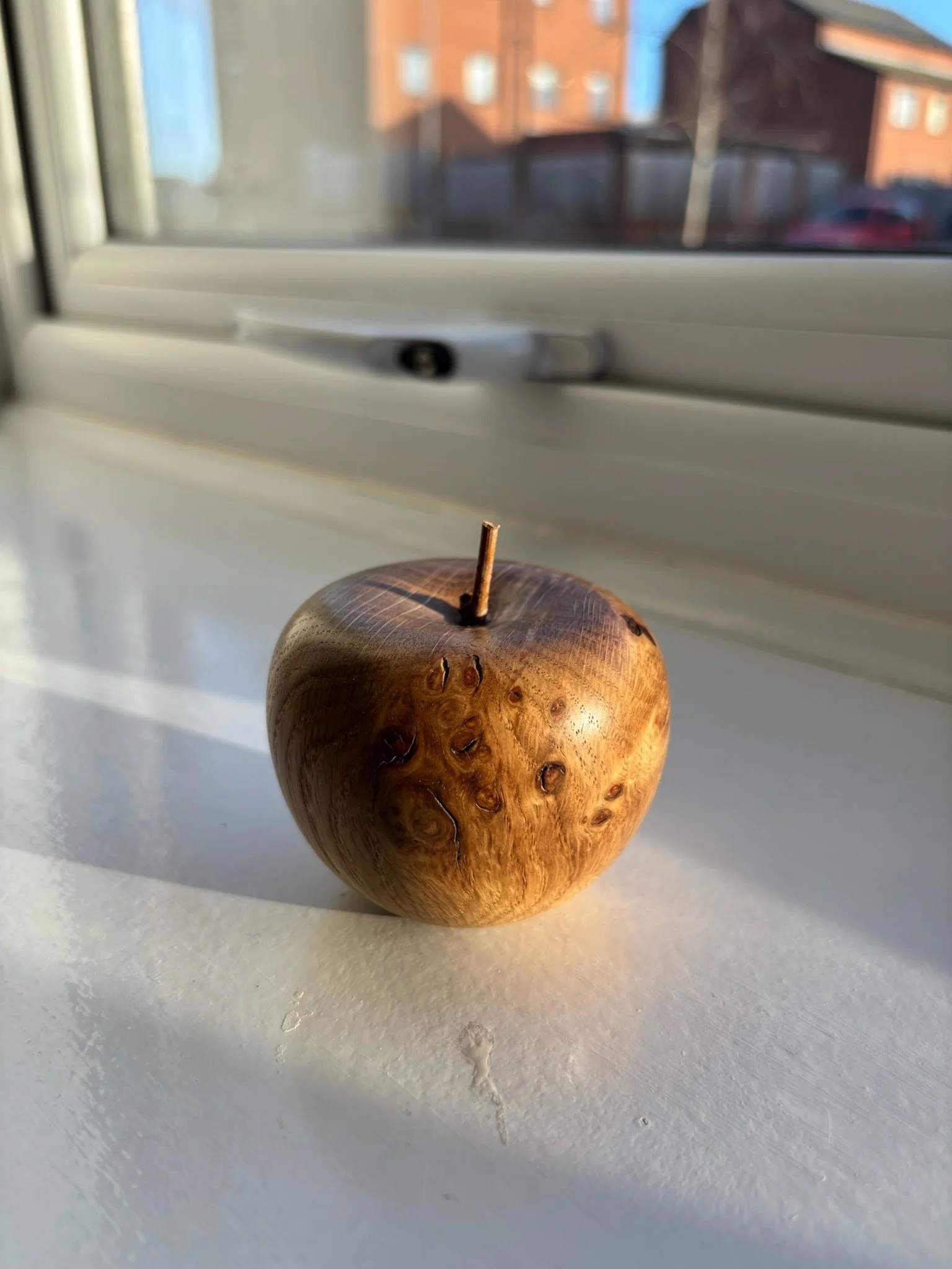 IMG_5983.jpeg