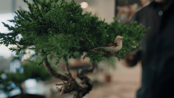 A small bird perched on a branch of a green, bushy tree.