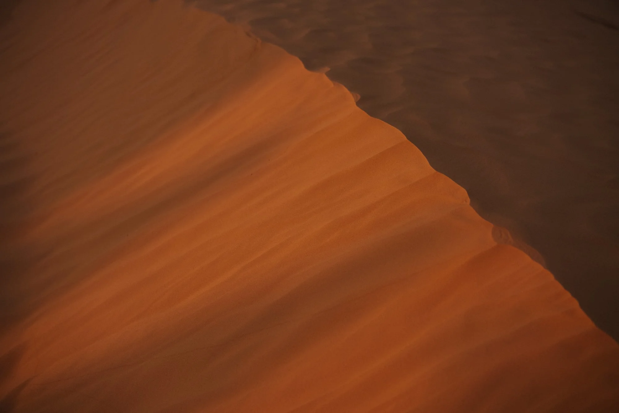 _DSC9553-web.jpg