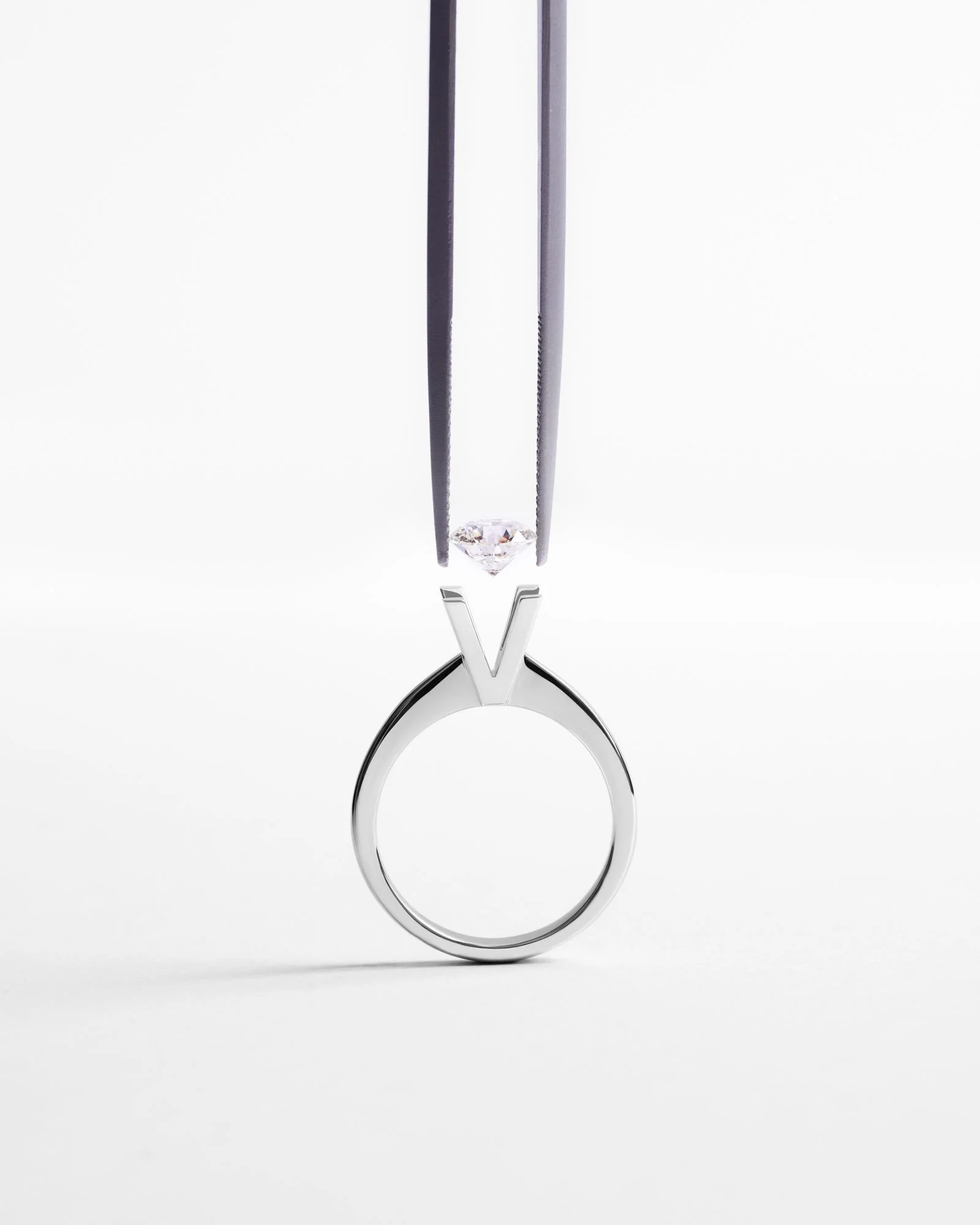 VISCONTI_MAR_269207 1-web.jpg