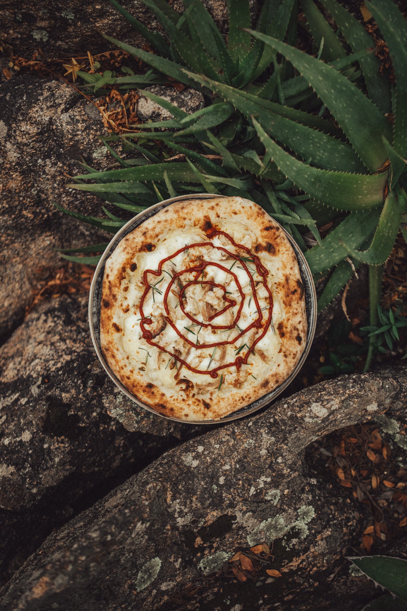 Una pizza con formaggi, pomodoro e erbe sul bordo, posizionata su rocce tra piante grasse.
