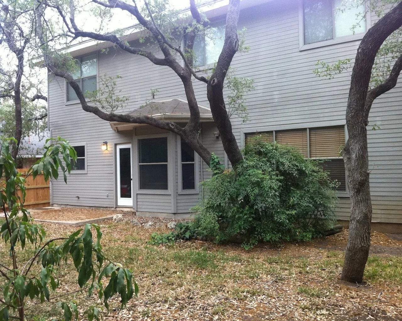 backyard before.JPG