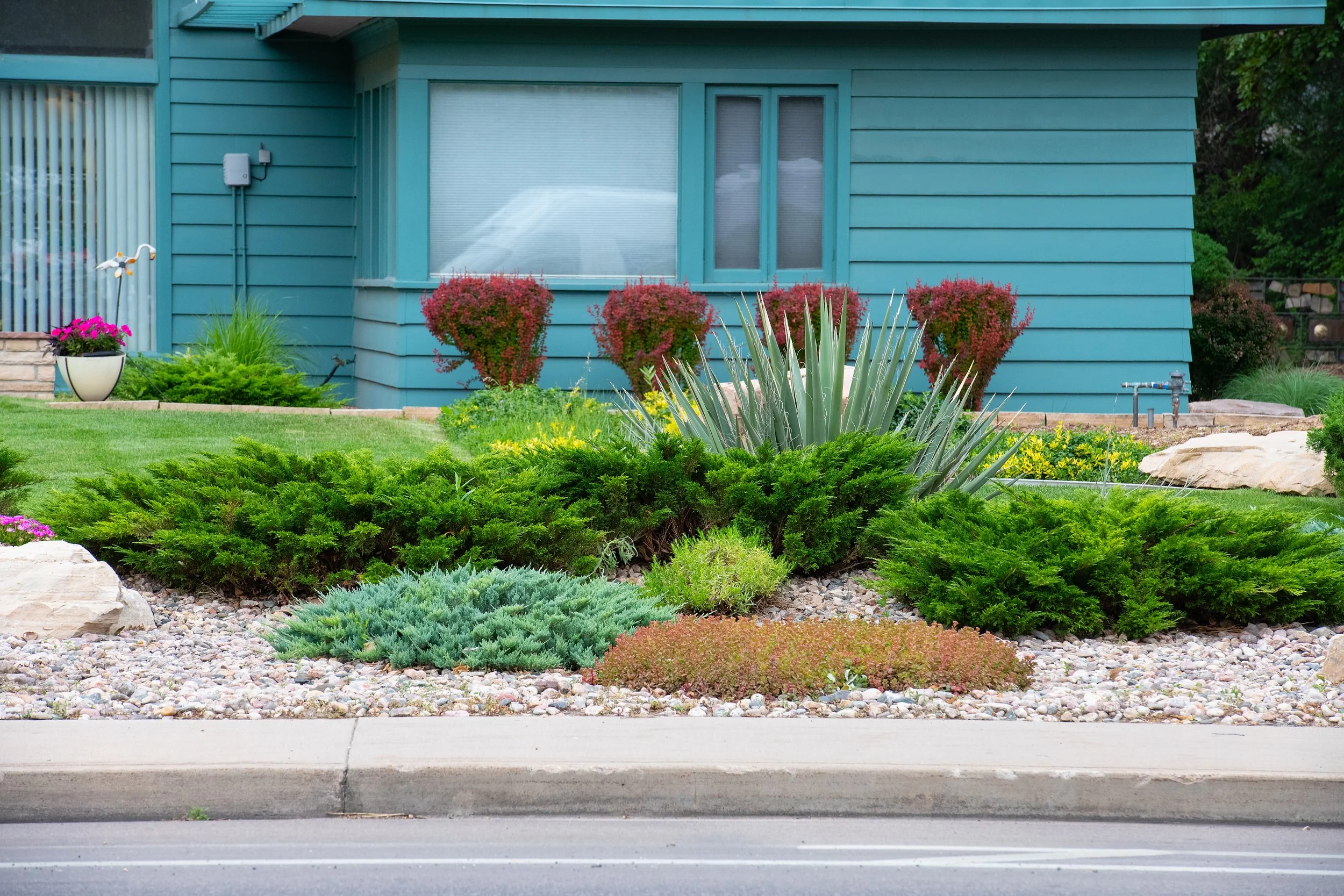 Front yard with well-maintained garden featuring green bushes, succulent plants, and purple flowering plants in front of a blue house with horizontal siding and a large window.