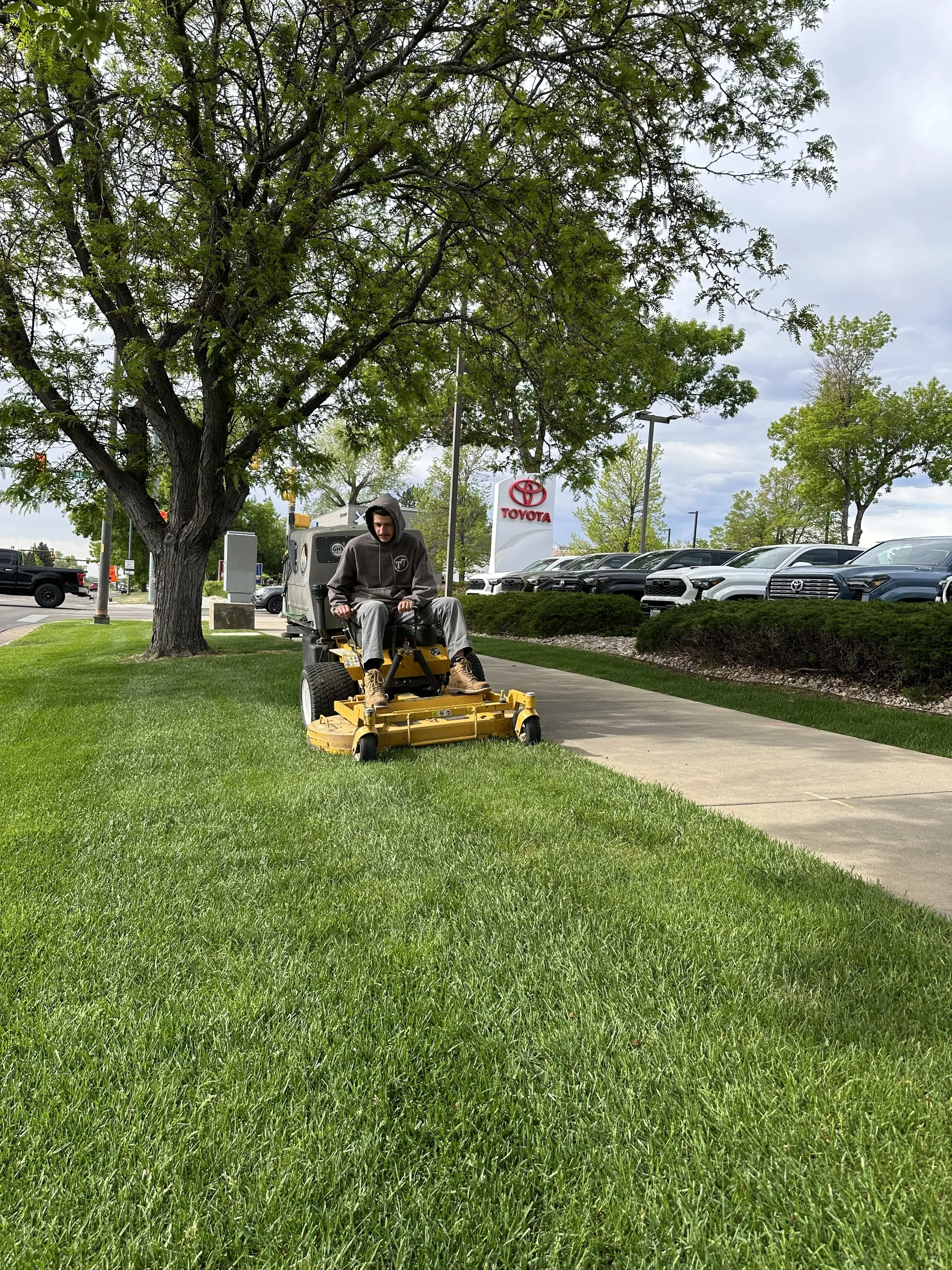 A person wearing a hoodie sits on a riding lawn mower on a grassy area near a tree, with a parking lot and a Toyota dealership sign in the background.