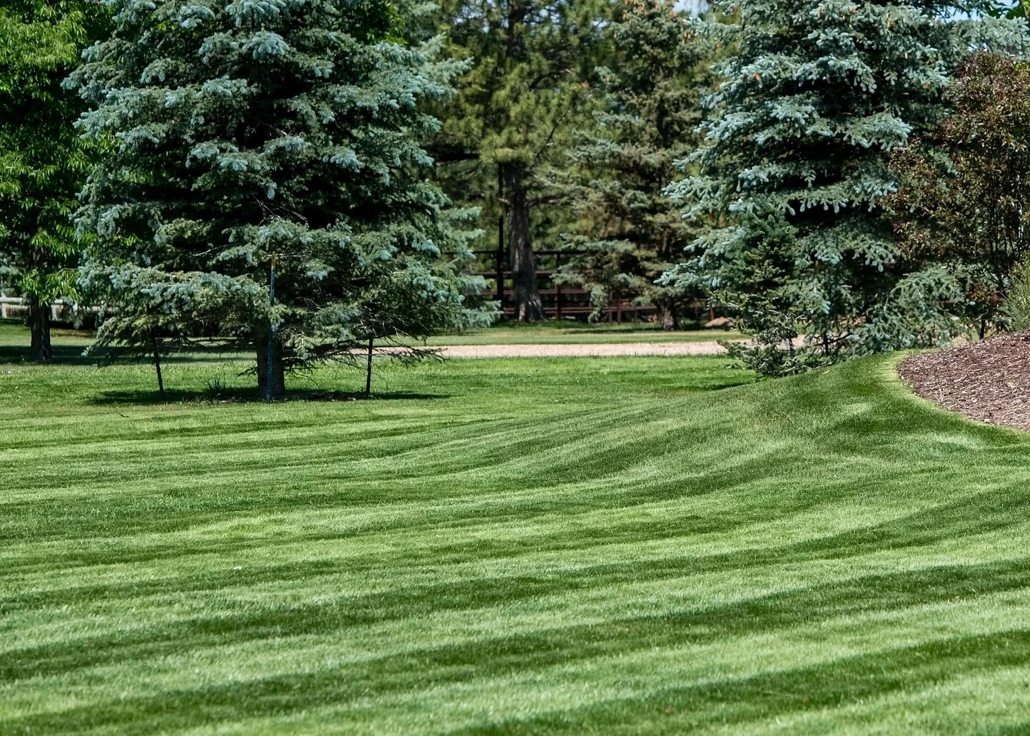 large-residential-lawn-maintenance-northern-colorado-striped-yard.webp