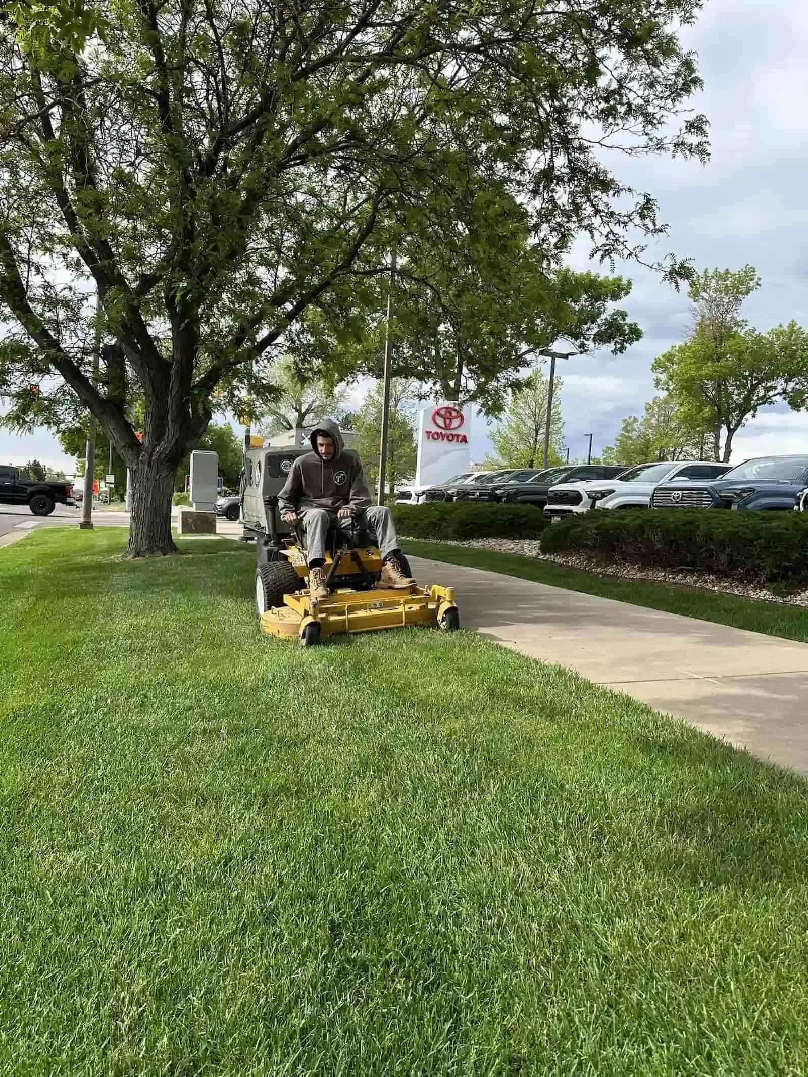 landscaping_pederson_toyota_Fort+Collins (1) (2) (1).jpg