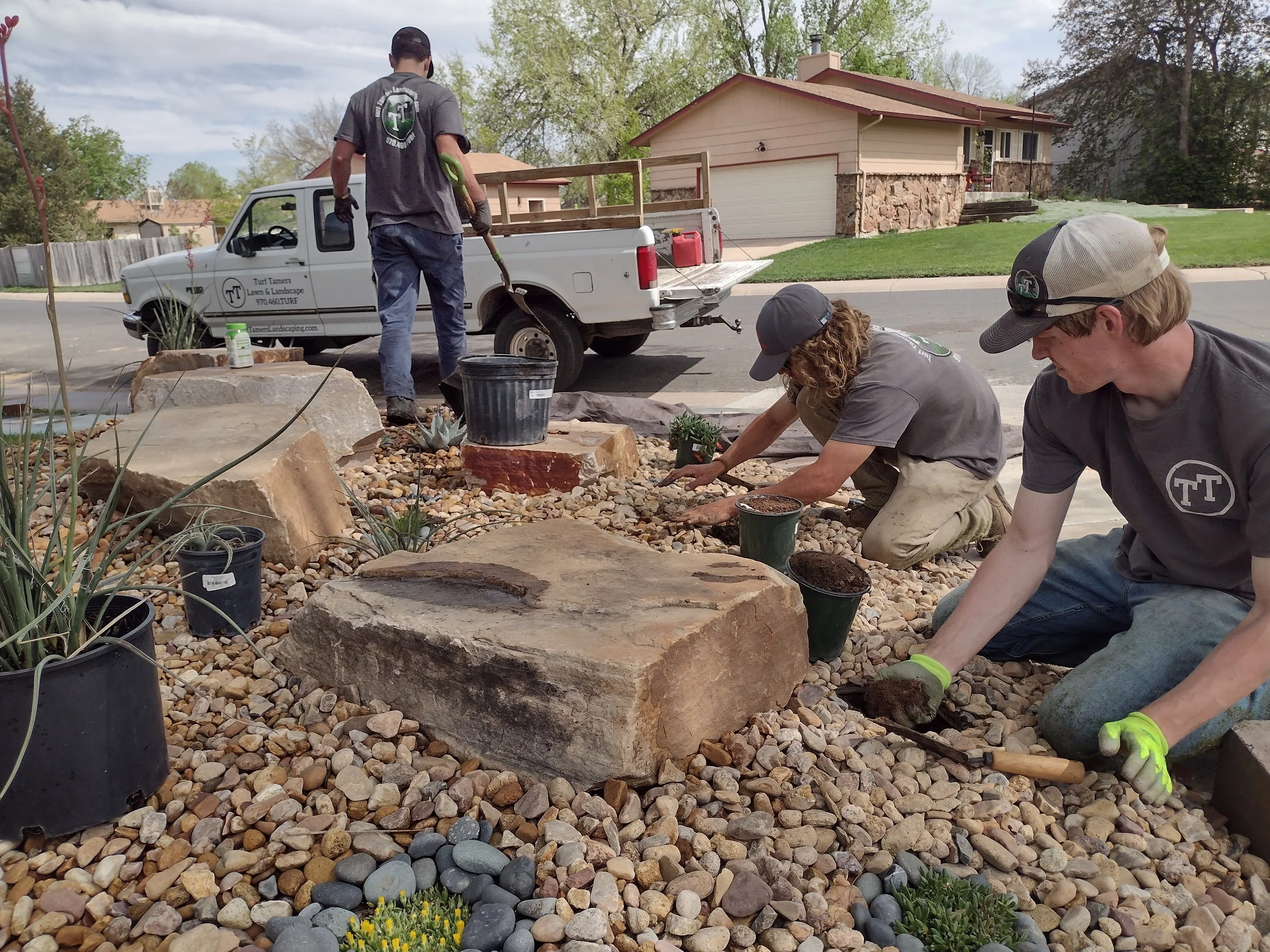 Three people working on a landscaping project in a front yard, planting and arranging rocks and plants around large rocks on a gravel bed, with a white work truck parked nearby.