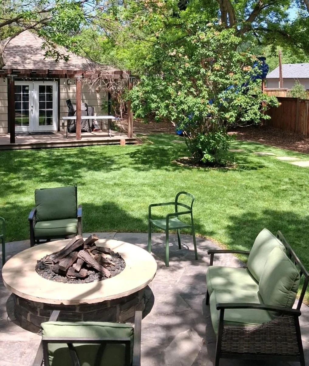 Backyard Lawn Restoration in Fort Collins