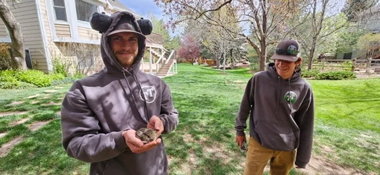 Two young men in hoodies standing outdoors on a grassy area, one holding a small turtle and the other smiling and looking at him.