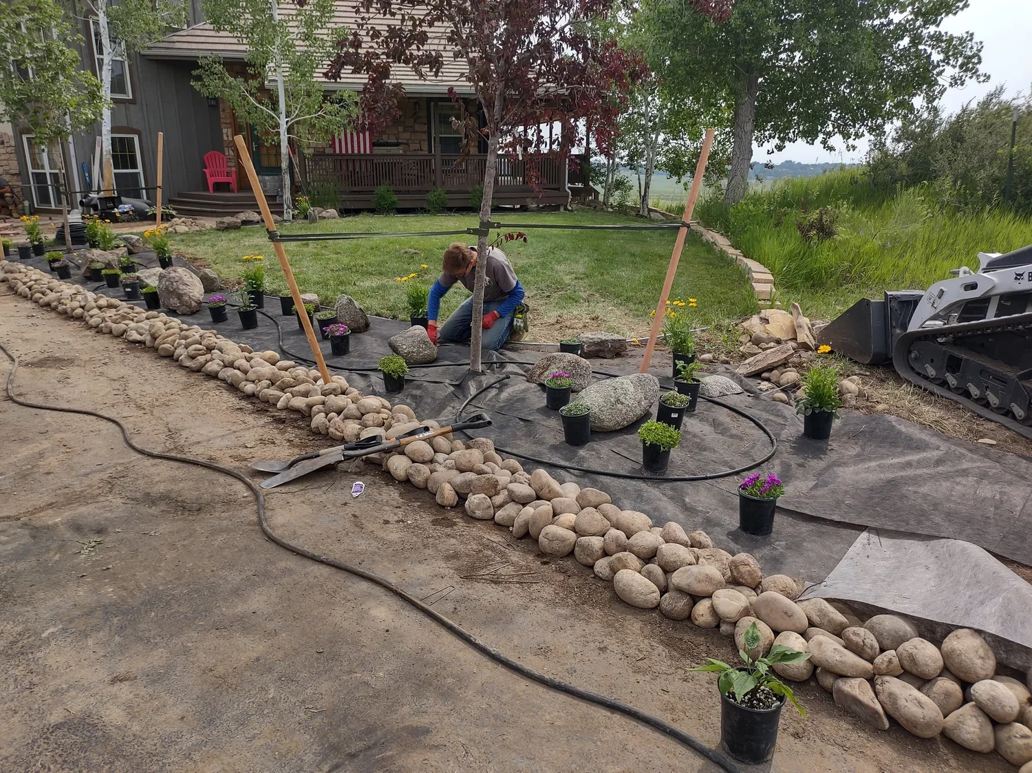 A person planting flowers in a garden bed with black pots, rocks, and black landscaping fabric, surrounded by a stone border, in a backyard with a house, trees, and grass.