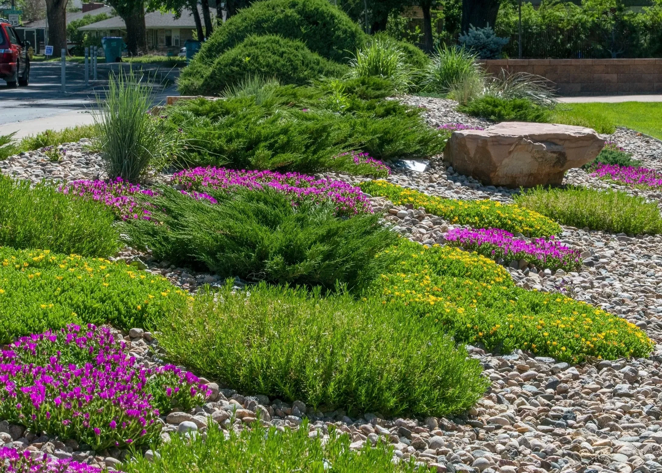 Colorful landscaped garden with pink and yellow flowers, green bushes, large rock, and pebbles, next to a sidewalk and parking lot.