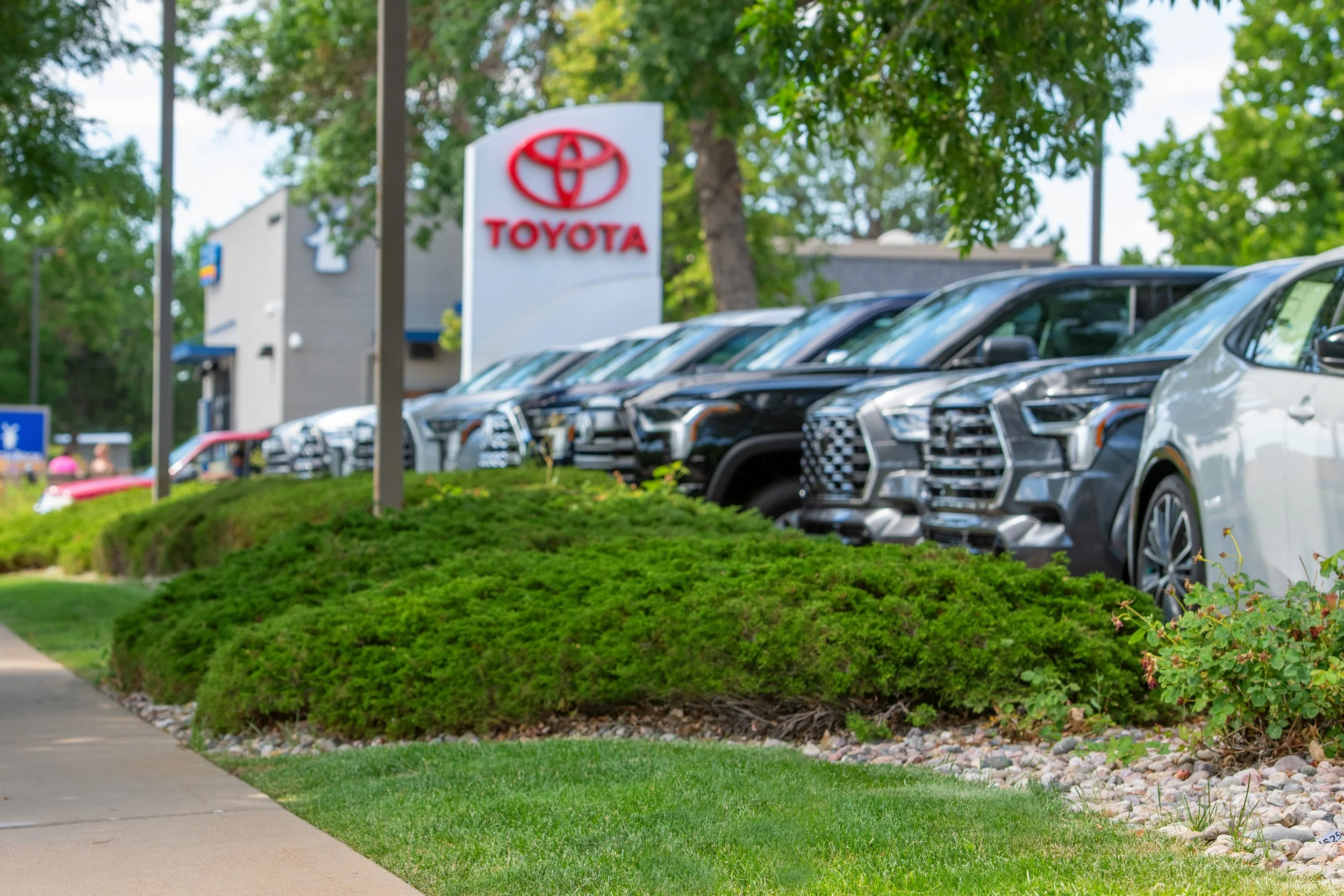 A row of new cars parked at a Toyota dealership with trees and a sign displaying the Toyota logo in the background.