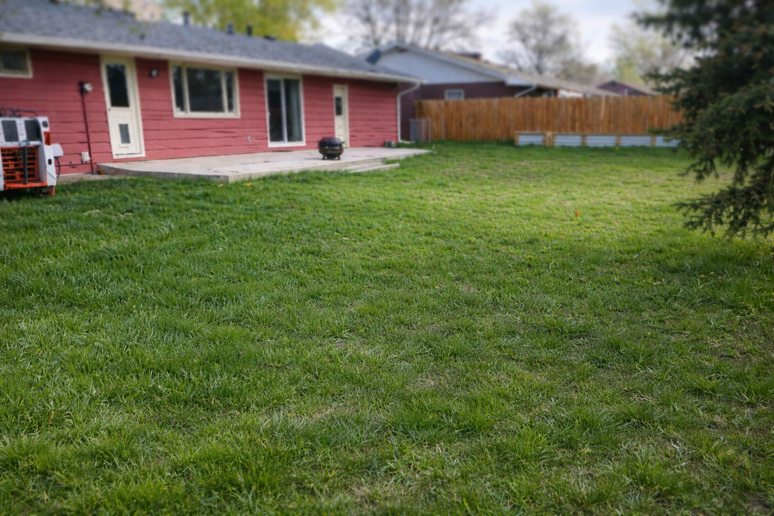 Rear view of a house with a green lawn, a small concrete patio, and a wooden fence in the background.