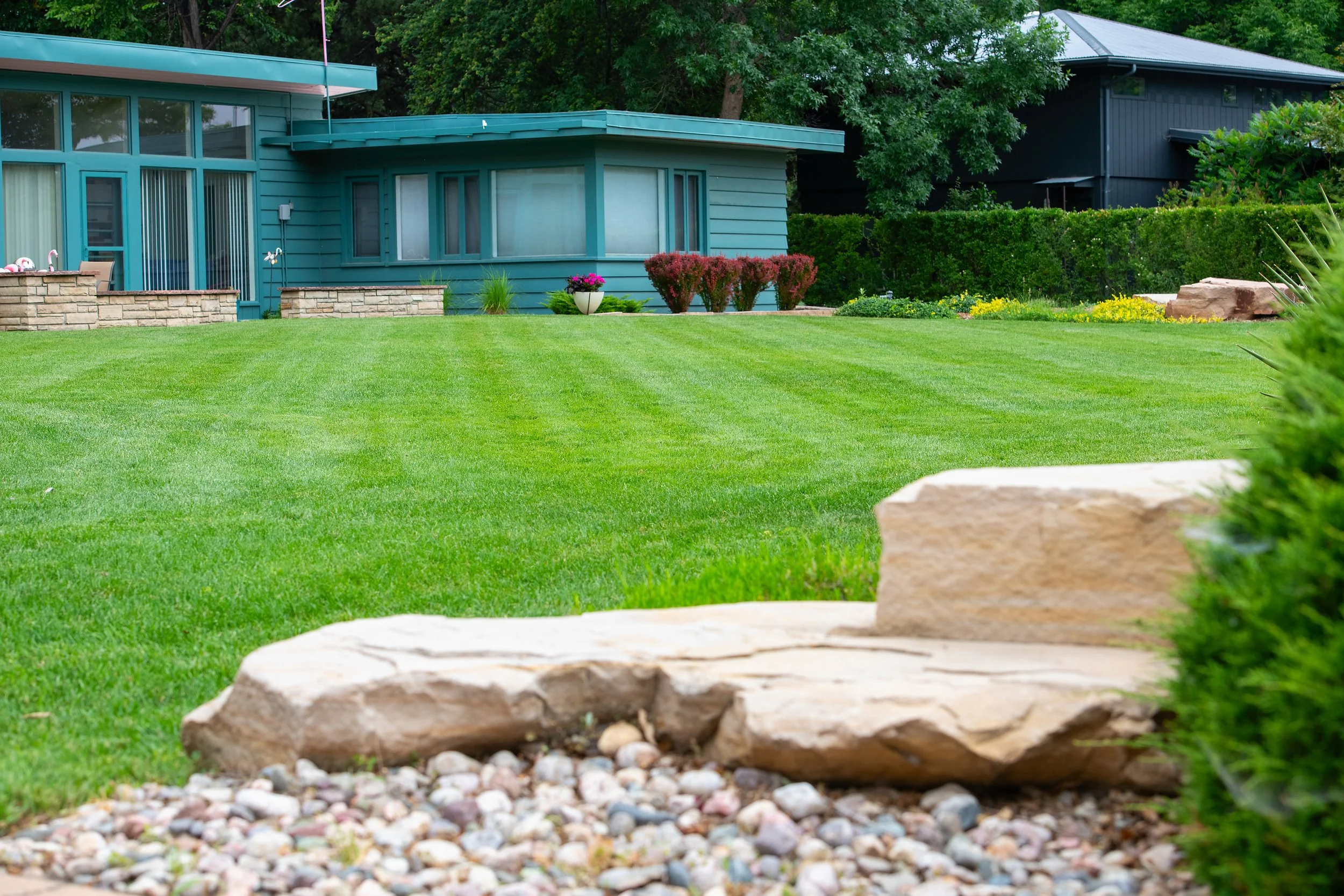 A well-maintained green lawn in front of a teal house with large windows, with trees and other houses in the background.