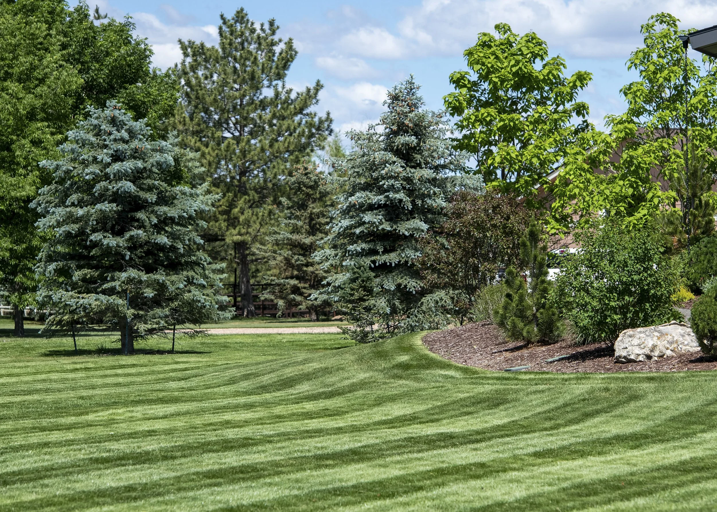 A landscaped yard with green grass, several evergreen and deciduous trees, bushes, rock, and a gravel walkway.