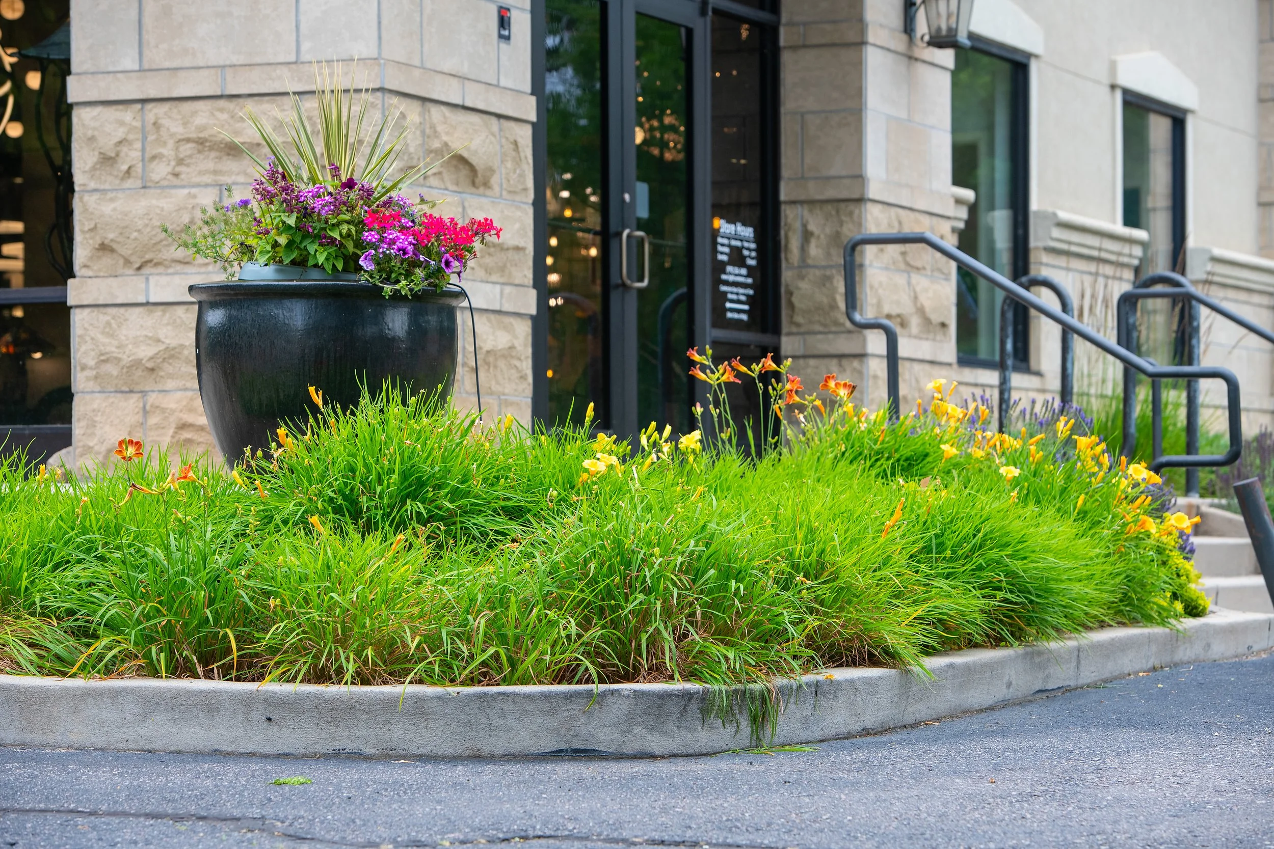 Flower bed with colorful flowers and greenery outside a building with a glass door and stone exterior