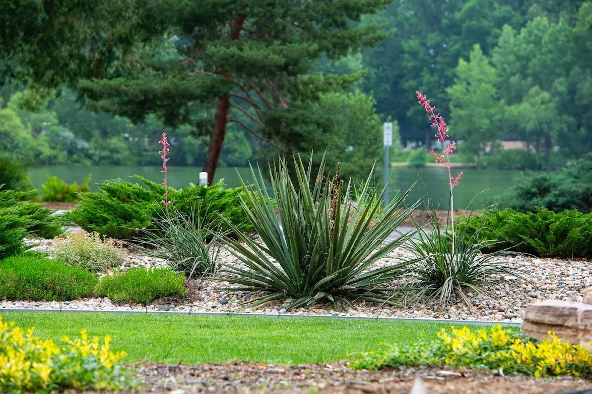 lake front xeriscape fort collins.jpg
