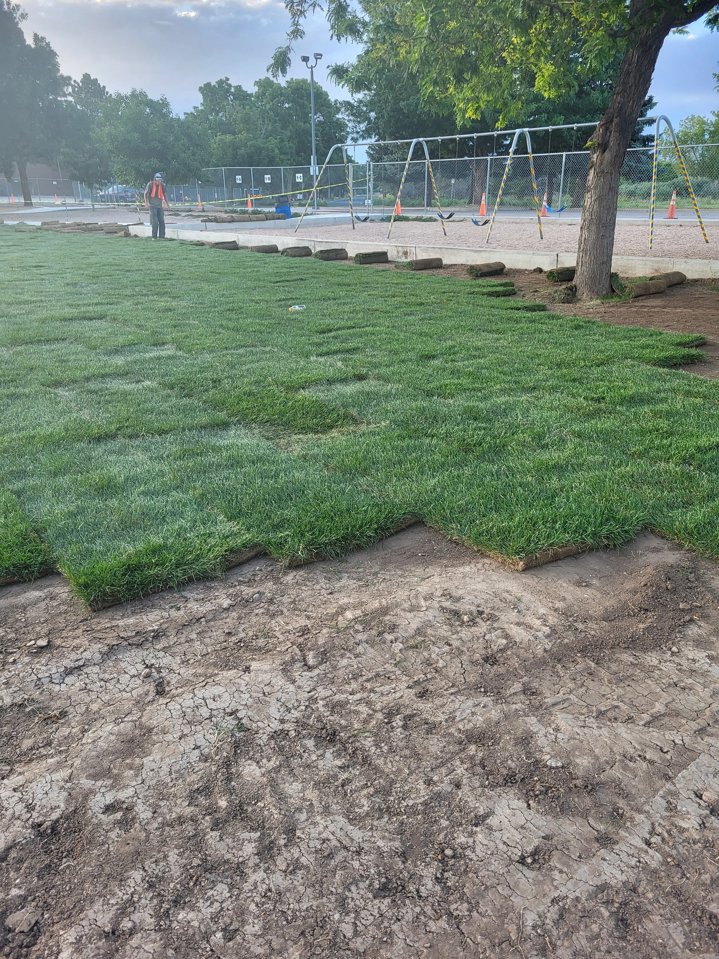 Partially installed sod grass with patches of dirt and a tree in a park or playground area, with a worker in the background near a fenced playground.
