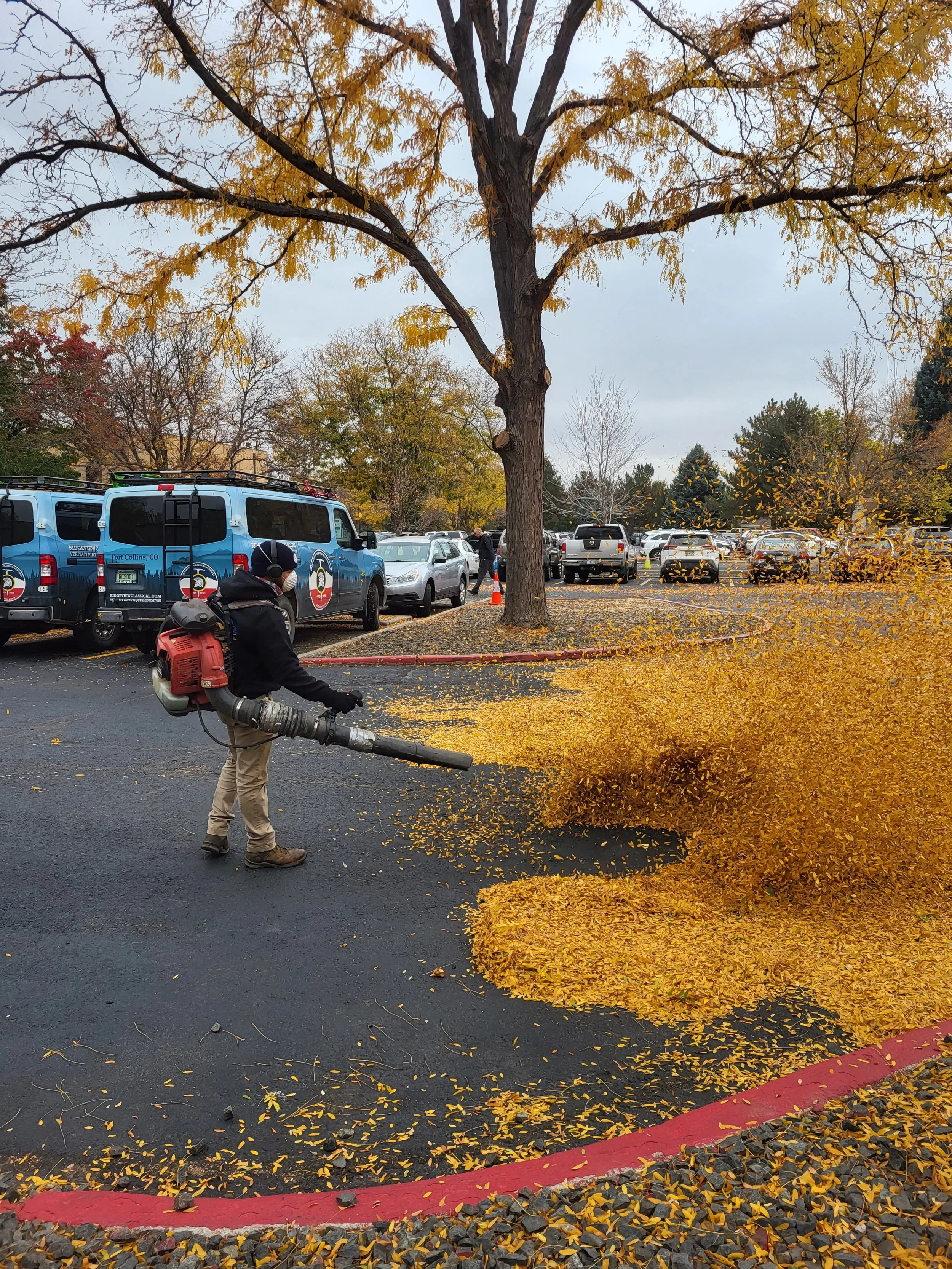 A person operating a leaf blower in a parking lot during fall, with yellow leaves being blown away, parked cars, and trees with autumn foliage in the background.