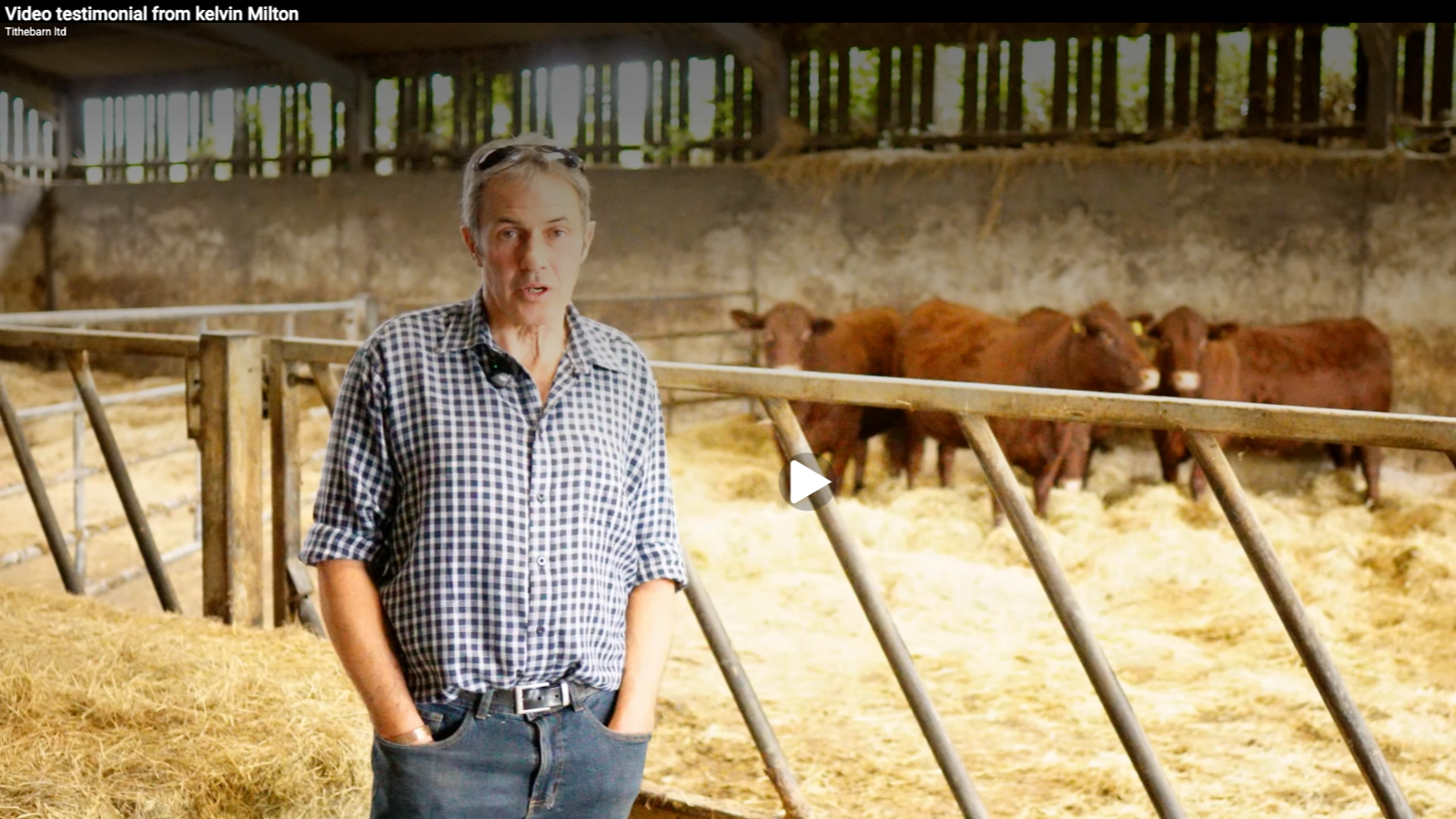 A man in a checkered shirt standing inside a barn with cows in the background.