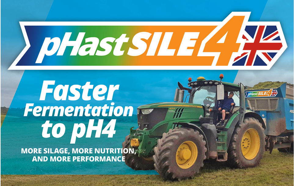 pHastSILE 4 – Lock in Your Forage Potential