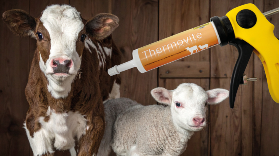 Thermovite - Give Every Calf &amp; Lamb the                   Best Start in Life