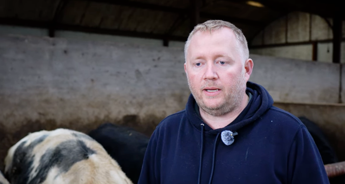 Peter McGuckin – Cattle