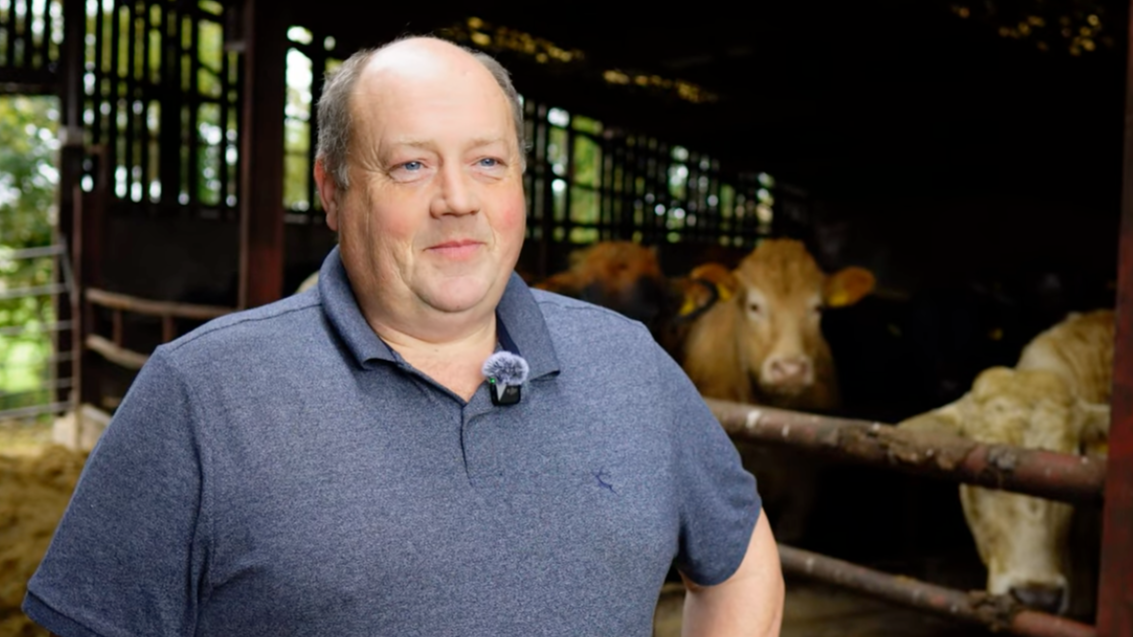 Kevin Lagan – Cattle