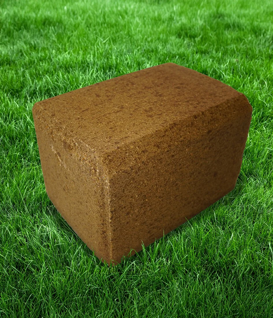 A single red brick sits on green grass.
