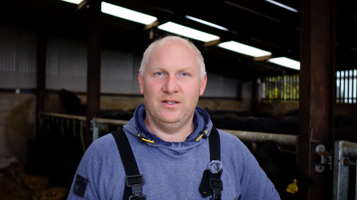 A man with short blond hair, wearing a blue hoodie and black suspenders, standing inside a barn with cows in the background.