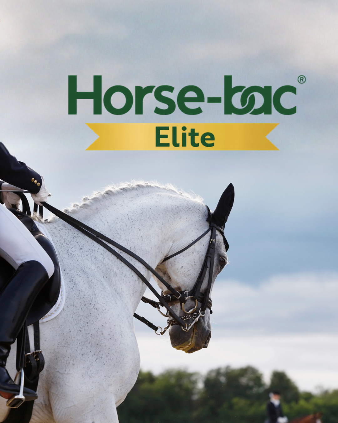 A rider in formal riding attire on a white horse with a bridle, against a cloudy sky and distant trees.