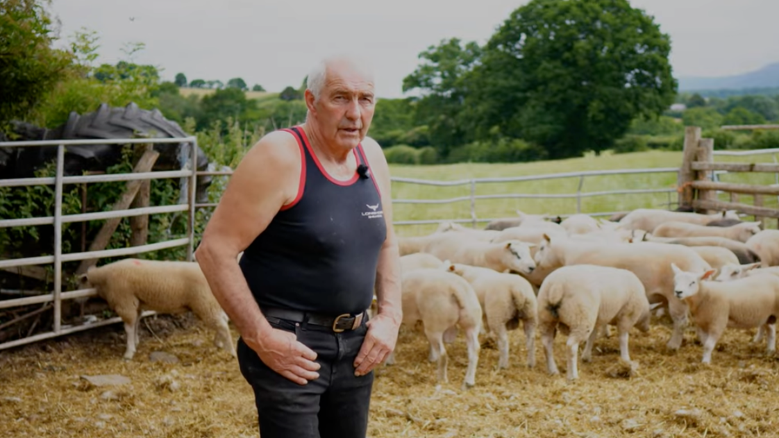 Dai Brute – Sheep