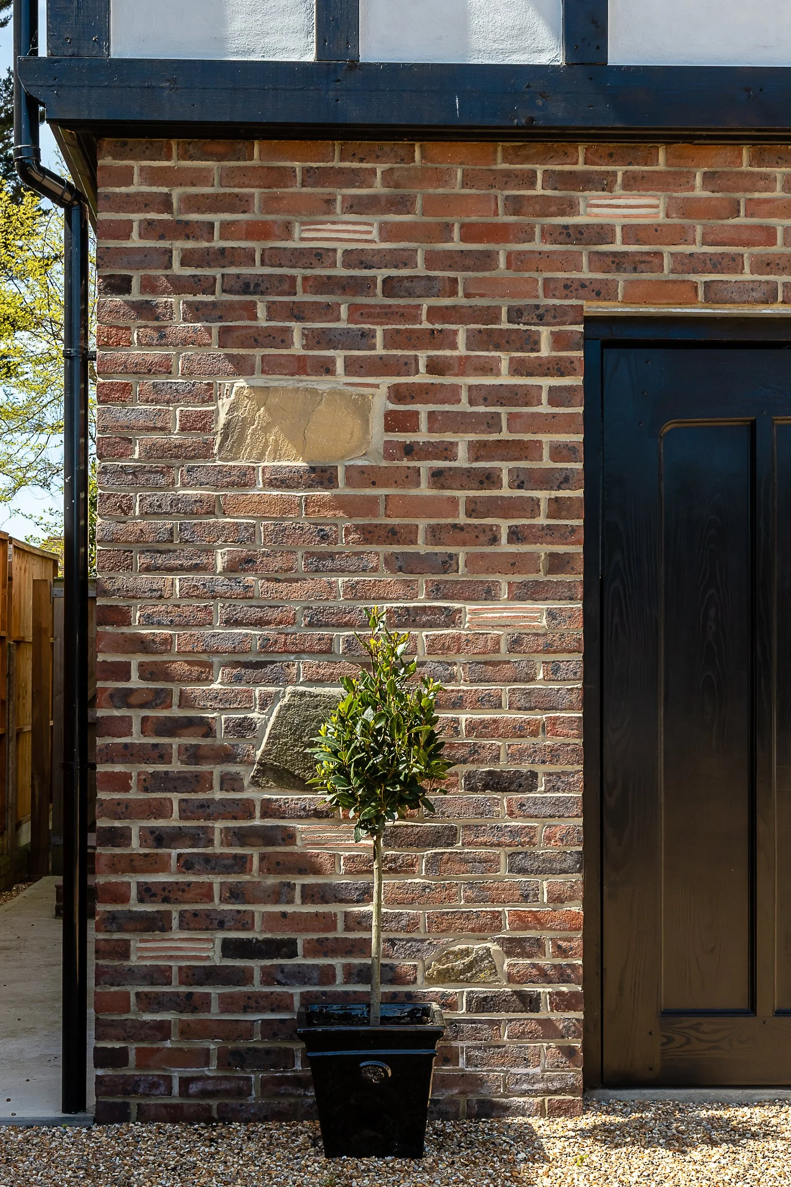Potted young tree with green leaves in front of a red brick wall next to a black door.