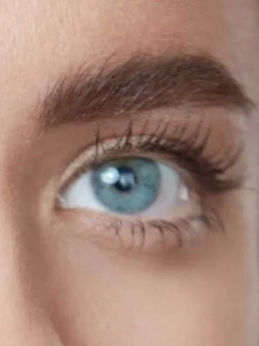 Eyebrow and Eyelash Treatments