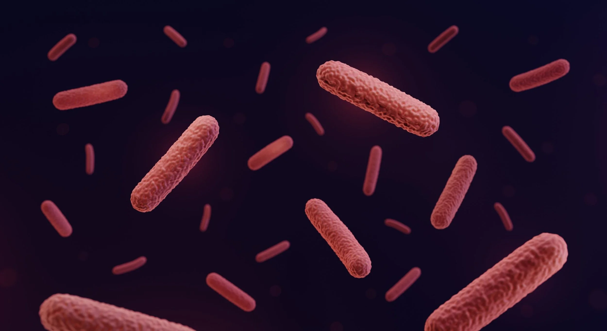 Could Endometriosis Be Caused By Bacteria?