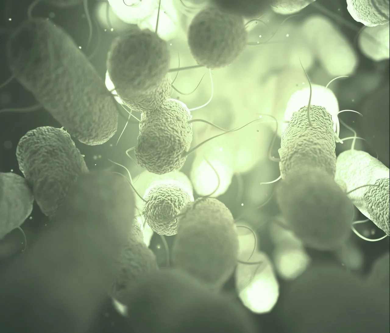 Food for Thought: The Gut-Brain Relationship