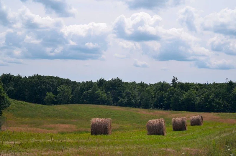 A rural field with four hay bales, green grass, and a line of trees in the background under a partly cloudy sky.