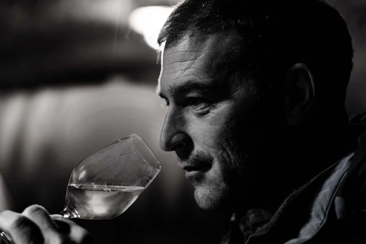 Frédéric Leprince, Bourgogne – exclusief bij Terroir Wines