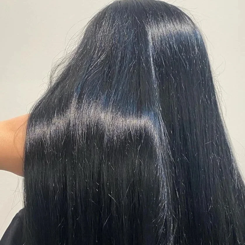 Close-up of shiny, straight black hair with a middle part.