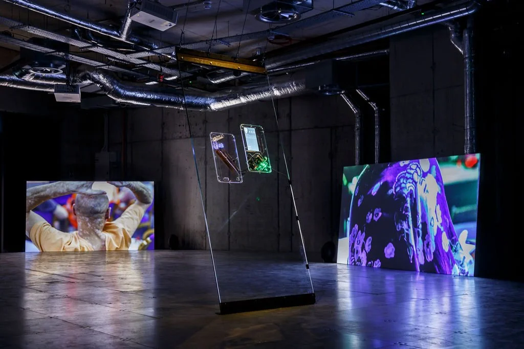 9. FutureEverything_Trickle Down Install arebyte Gallery_Helen Knowles.jpg