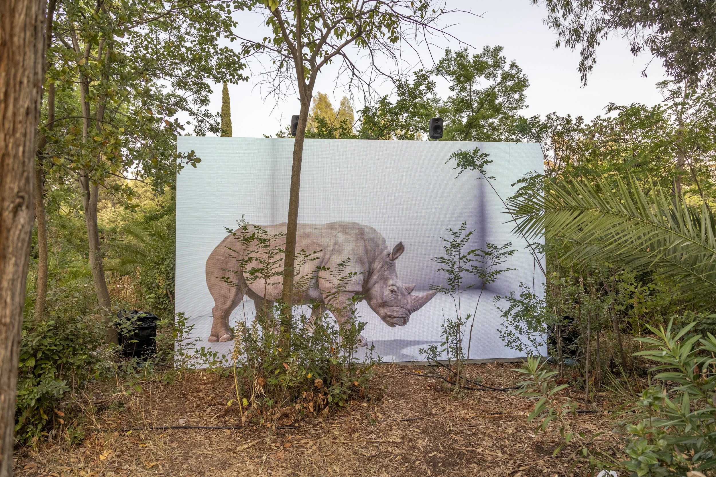 The Substitute_Alexandra Daisy Ginsberg_19A1387@Stelios Tzetzias.jpg