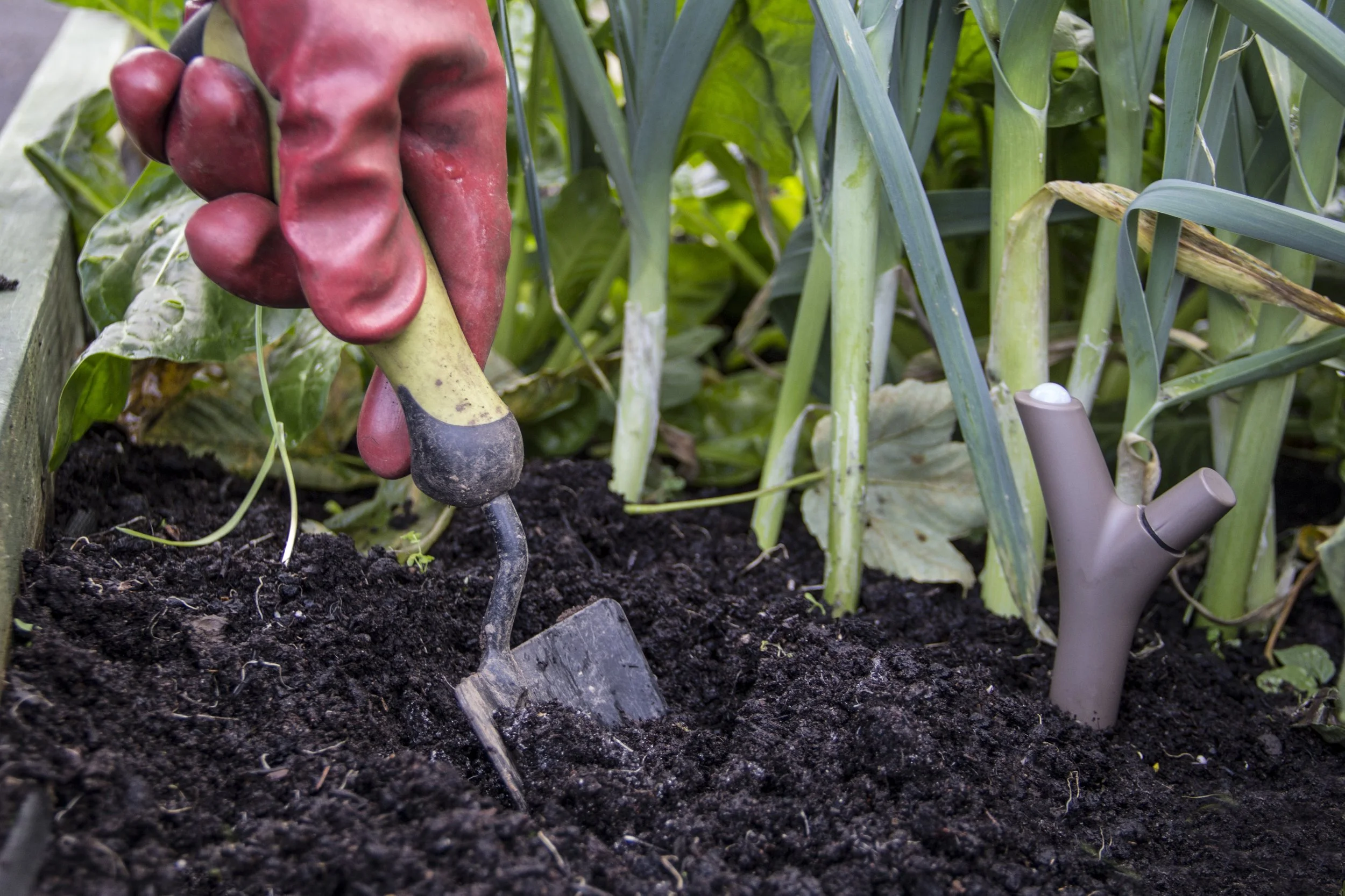 GROW Observatory (2016–19)