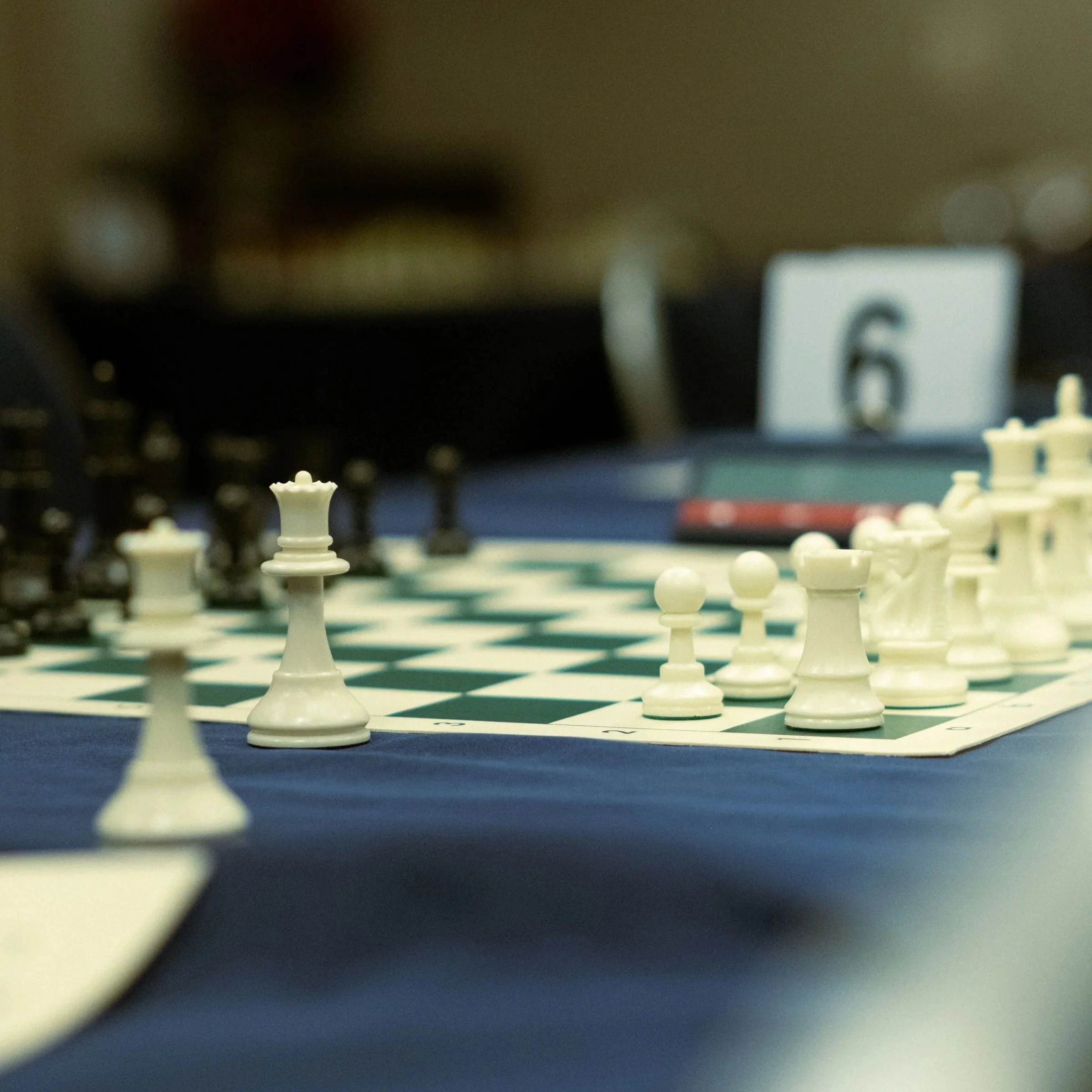 DSCF8717.jpg