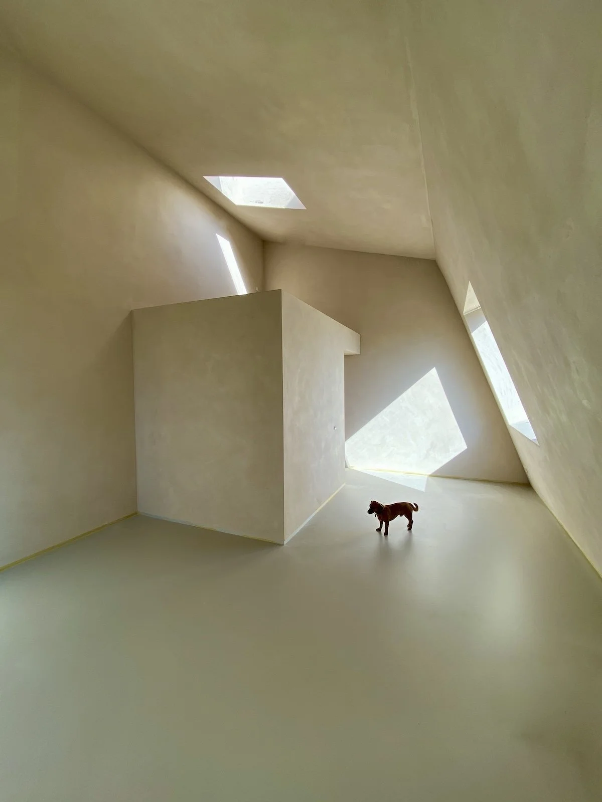 Leemstuc, Rotterdam (2020)