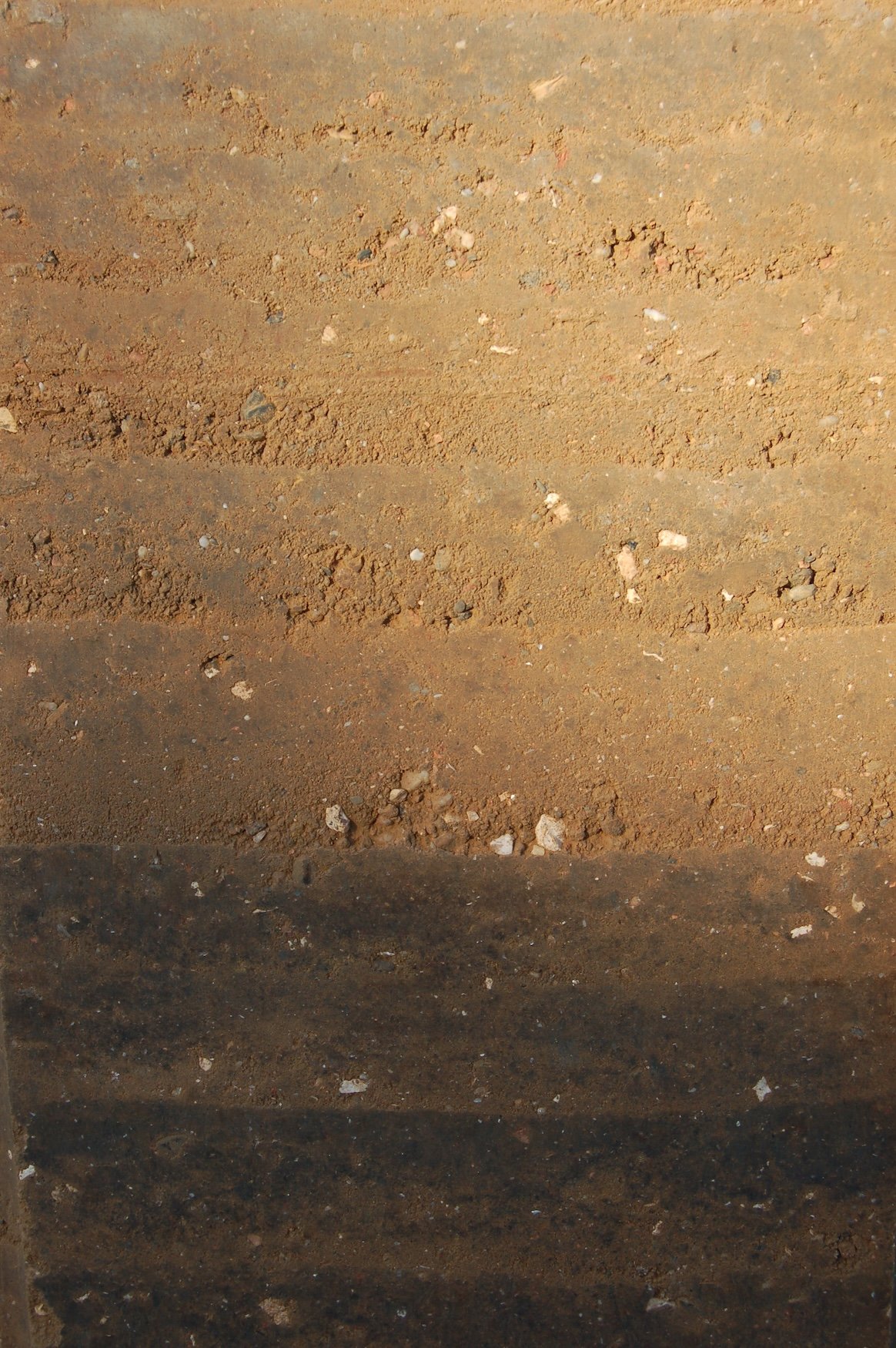 Detail foto van textuur van stampleem wand, toont verschillende lagen van gestampte aarde met verschillende kleuren en texturen, van lichtbruin tot donkerbruin.