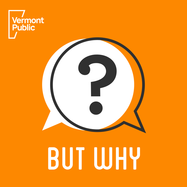 But Why: A Podcast for Curious Kids [Vermont Public]