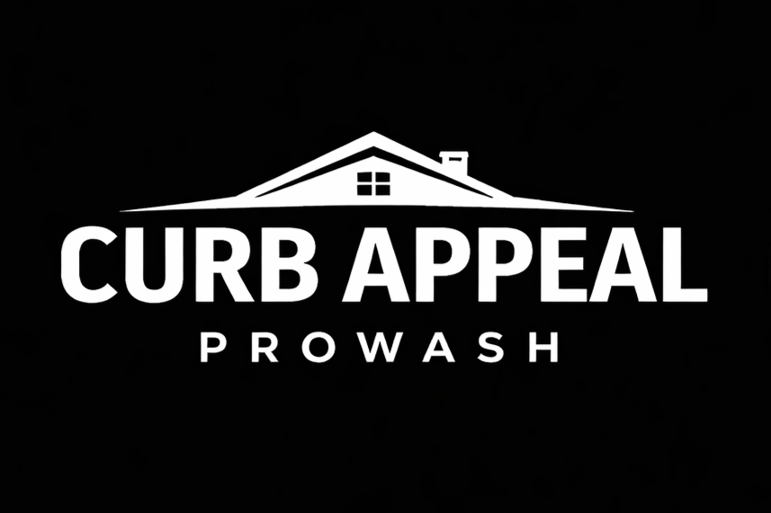 Curb Appeal Pro Wash
