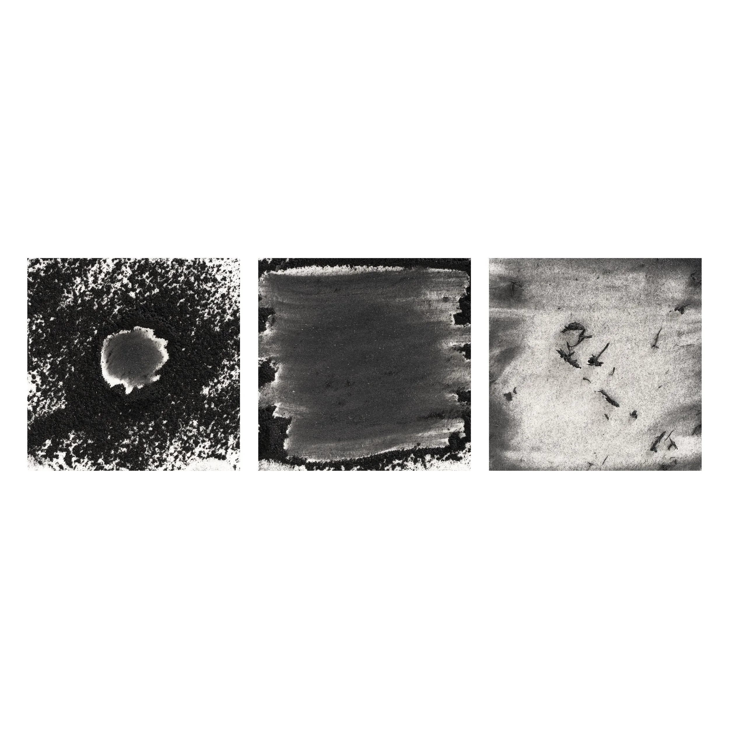 Erasure Triptych #4
