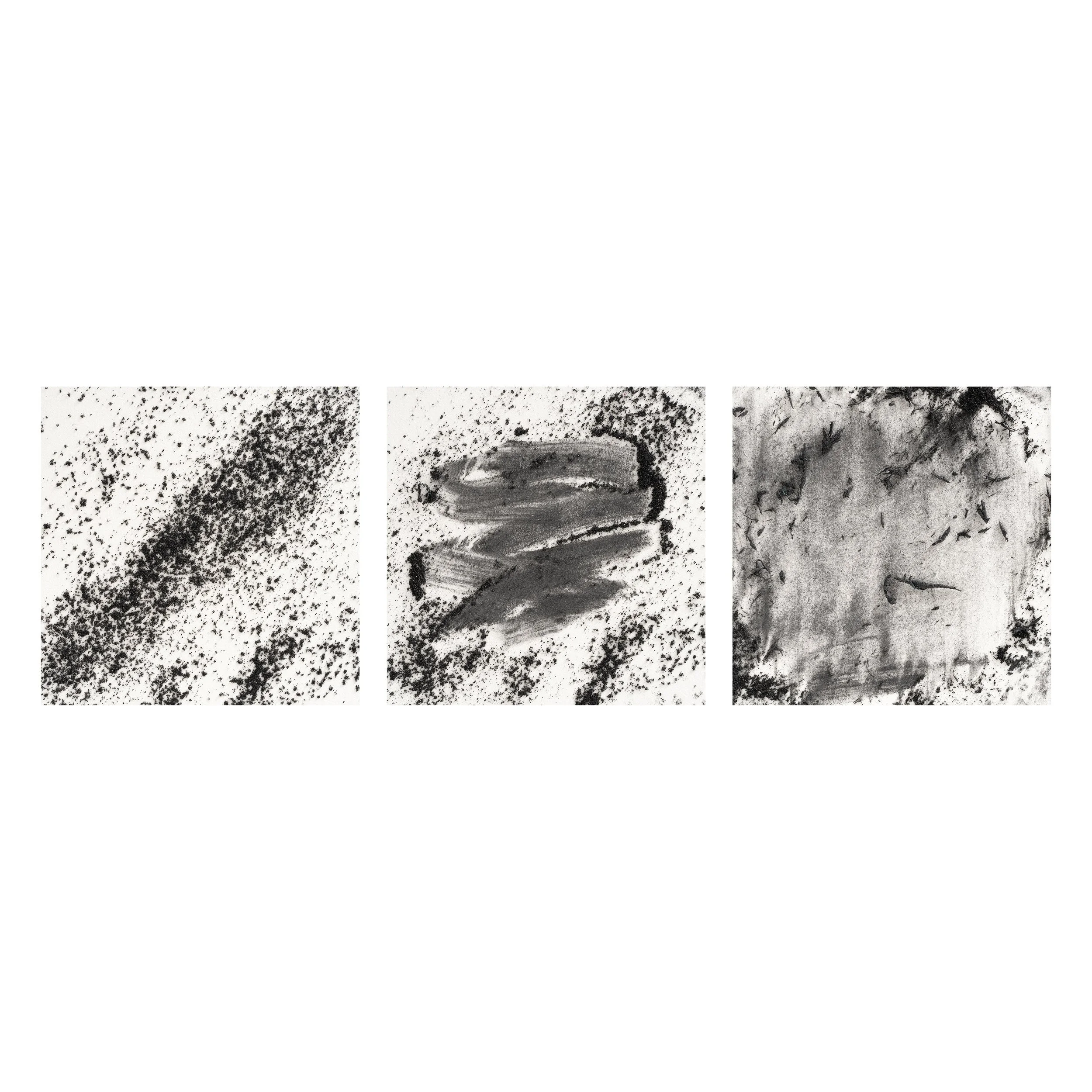 Erasure Triptych #2