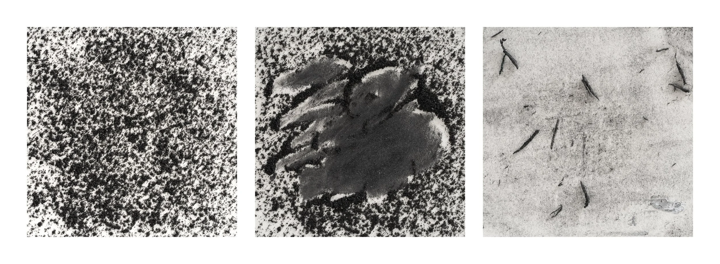 Erasure #1 - Triptych.jpg